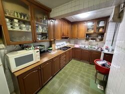 Blk 53 Geylang Bahru Riverpoint (Kallang/Whampoa), HDB 5 Rooms #551155571